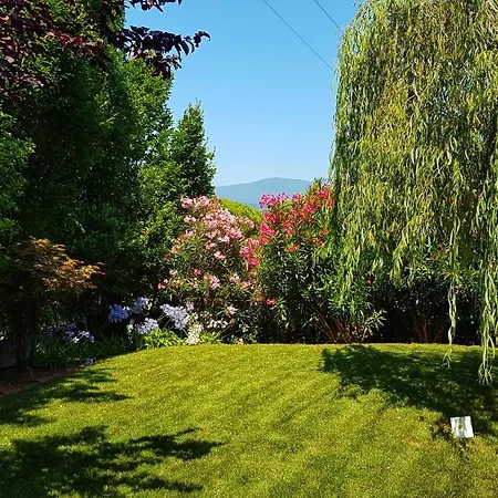 Asso Frühstückspension Manerba del Garda