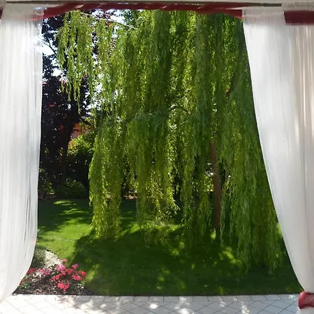 Asso 3* Manerba del Garda