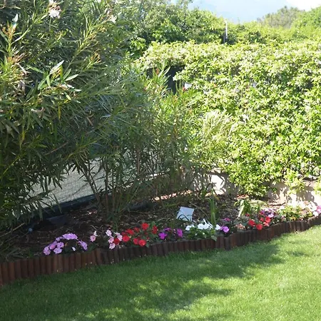 Bed & Breakfast Asso 3*