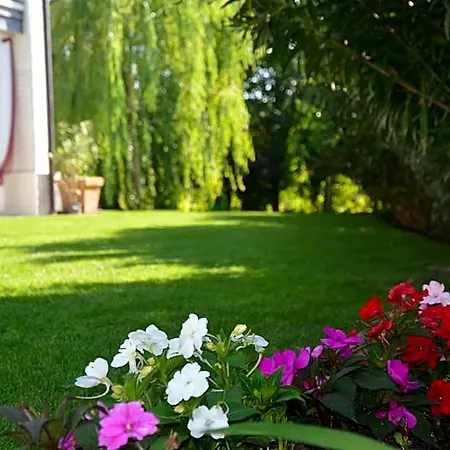 Asso Bed and breakfast