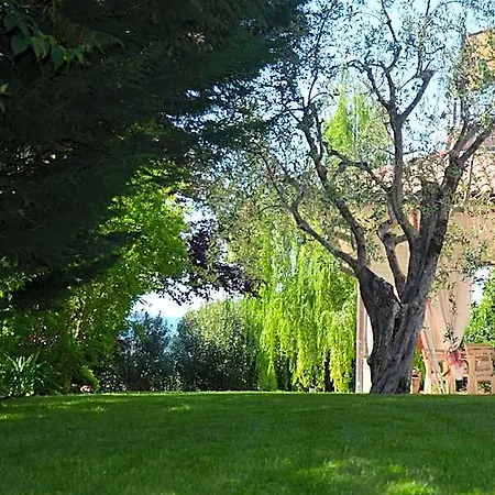 Bed and breakfast Asso 3*